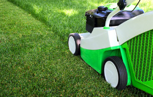 Gardening Services