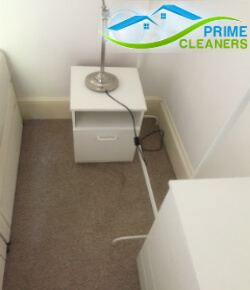 carpet steam cleaning services