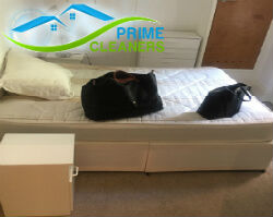 professional carpet cleaning